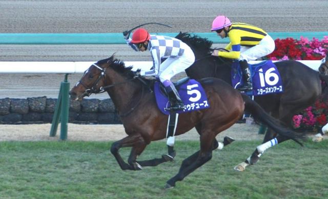 【コロナ禍で急増】公営ギャンブル、ネット購入が8～9割　賭け意識乏しく、依存の懸念